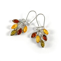 amber earrings #30